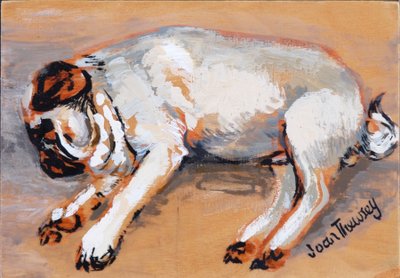 Hogarth che dorme, 2005 da Joan Thewsey