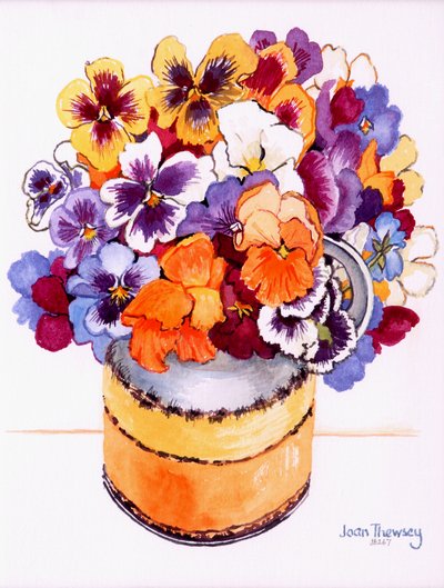 Viole del pensiero in una brocca invernale, 2000 da Joan Thewsey