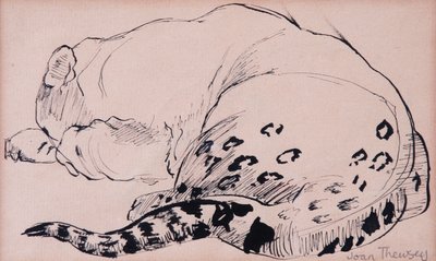 Schizzo, leopardo, zoo di Londra 2005 da Joan Thewsey