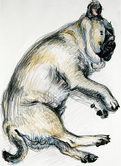 Carlino che dorme uno da Joan Thewsey