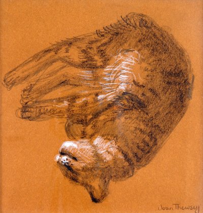 Gatto tigrato che dorme, 2005 da Joan Thewsey