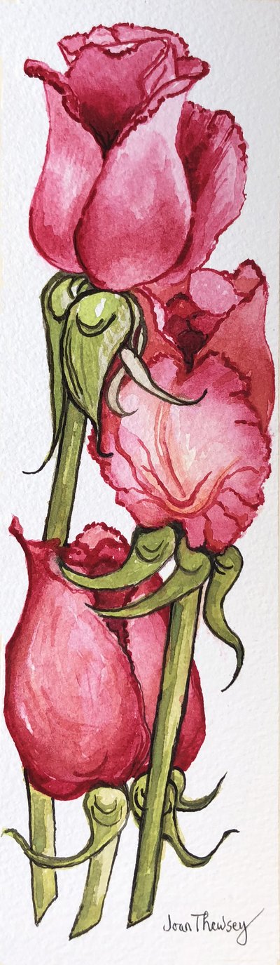 Tre rose rosse da Joan Thewsey