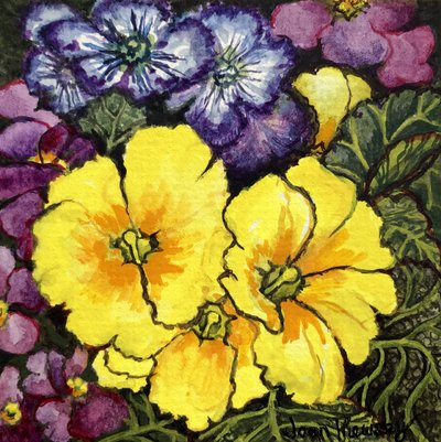 Tre primule gialle circondate da primule malva e viola e foglie da Joan Thewsey