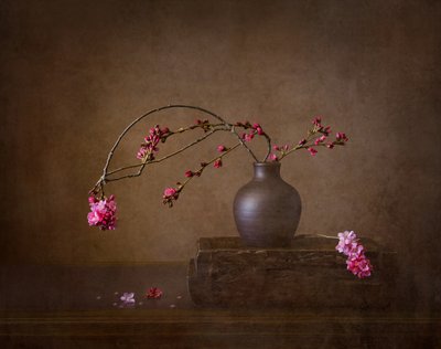 Natura morta con fiori di ciliegio da Joanna W