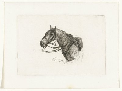 Testa di cavallo a sinistra da Joannes Bemme