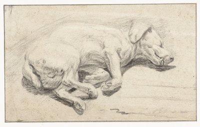 Cane sdraiato, dormiente da Joannes Fijt (attributed to)