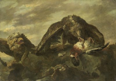 Aquile sulle scogliere da Joannes Fijt (copy after)