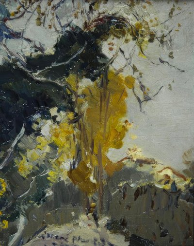 Albero da Joaquim Mir i Trinxet