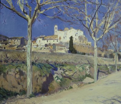Caselles da Joaquim Mir i Trinxet