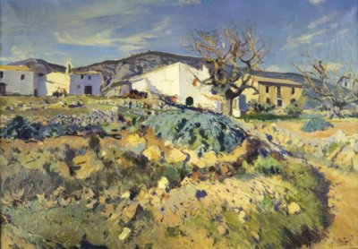 La malizia di Magí da Joaquim Mir i Trinxet