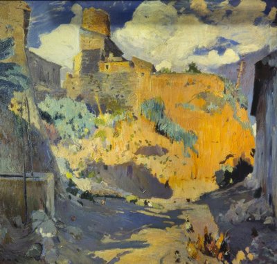 Terra da Joaquim Mir i Trinxet