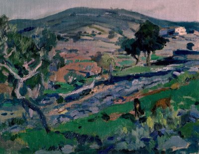 Paesaggio da Joaquim Mir i Trinxet