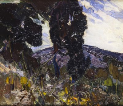 Paesaggio da Joaquim Mir i Trinxet