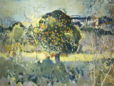 Paesaggio da Joaquim Mir i Trinxet