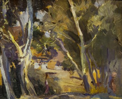 Miravet da Joaquim Mir i Trinxet