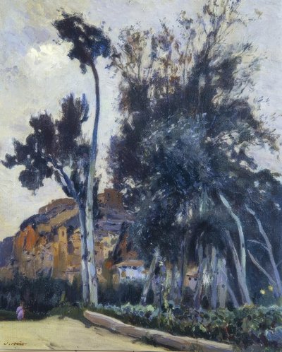 Miravet da Joaquim Mir i Trinxet
