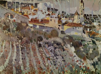 Villaggio terrazzato da Joaquim Mir i Trinxet
