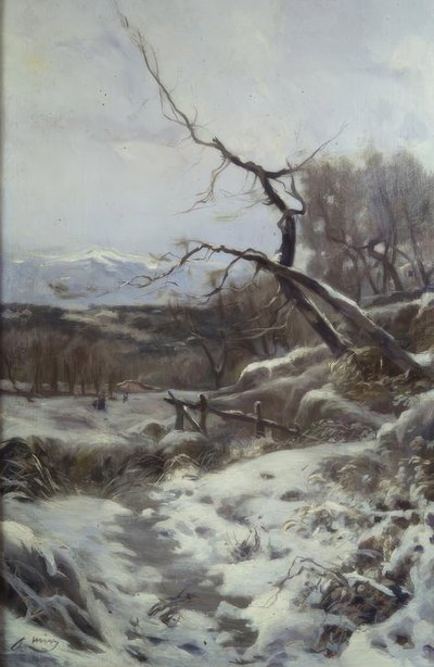 Inverno da Joaquim Mir i Trinxet