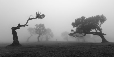  da Jochen Bongaerts