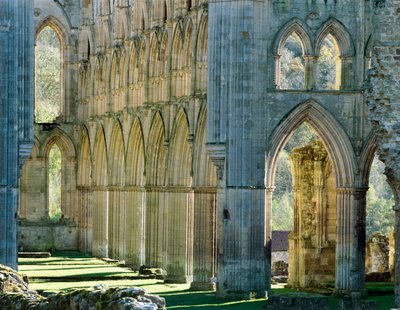 Abbazia di Rievaulx, c. 1990-2010 da Joe Cornish