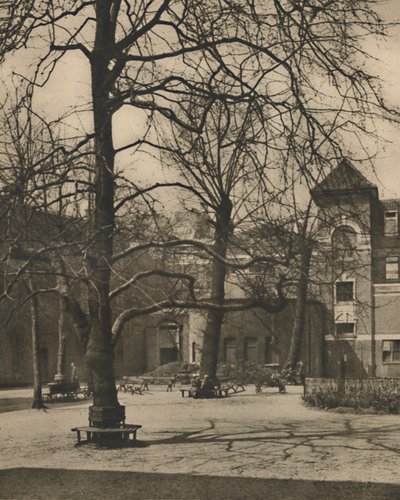 Sotto gli Olmi nel Cortile dell