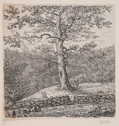 La quercia di Niels Ebbesen a Nørreris da Johan Aagaard