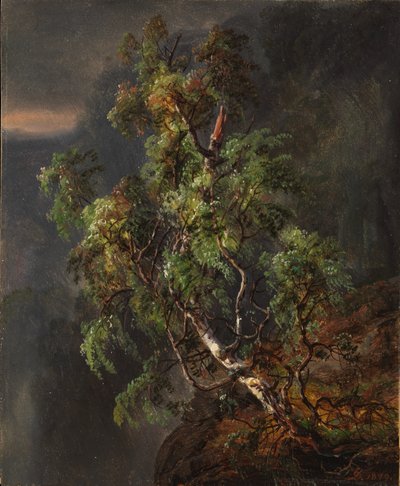 Betulla nella tempesta da Johan Christian Dahl