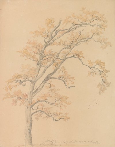 Querce con foglie autunnali, Milicz da Johan Christian Dahl