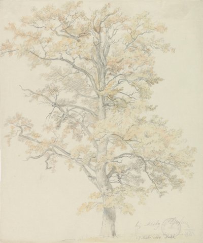Querce con foglie autunnali, Milicz da Johan Christian Dahl
