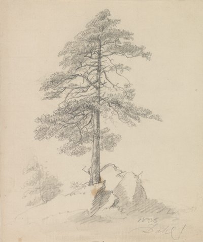 Pini e scogliere da Johan Christian Dahl
