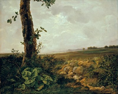 Vista vicino a Præstø da Johan Christian Dahl