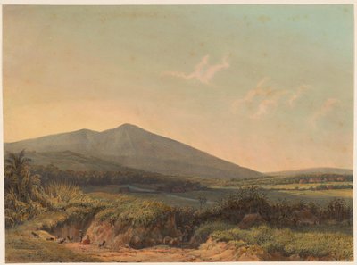 Veduta di Kedungbadak da Johan Conrad Greive
