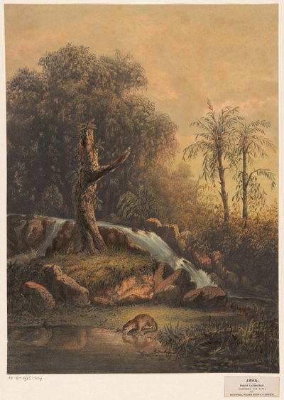 Paesaggio con cascata e leopardo che beve da Johan Conrad Greive