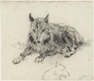 Cane da pastore sdraiato da Johan Daniël Koelman