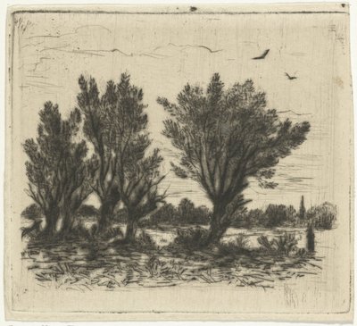 Fila di salici da Johan Frederik Croockewit