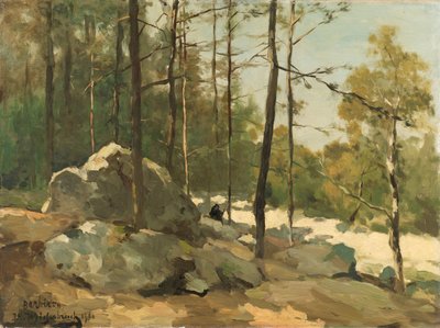 Vista Boscosa vicino a Barbizon da Johan Hendrik Weissenbruch