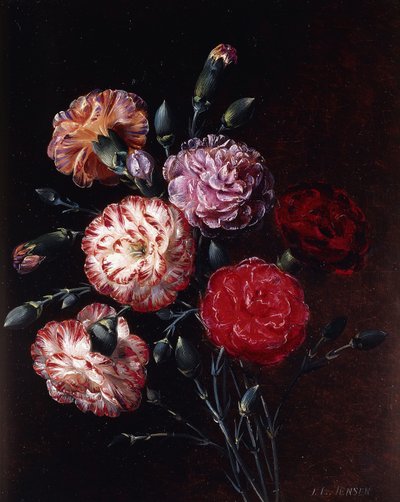 Garofani da Johan Laurents Jensen