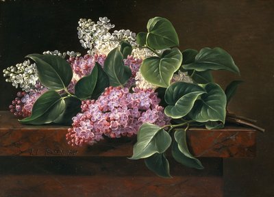 Lillà su un davanzale da Johan Laurents Jensen
