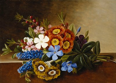 Periwinkle, auricola e giacinti d