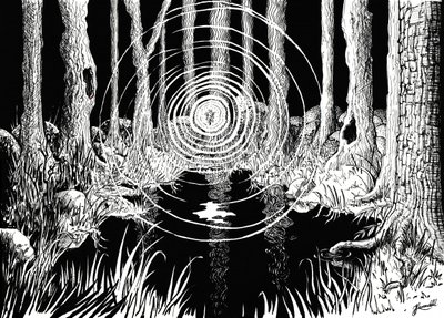 Le increspature della foresta mistica da Johan Liewendahl