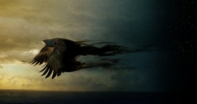 Regno degli uccelli 2, 2018 da Johan Lilja