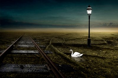 Ferrovia, 2013 da Johan Lilja