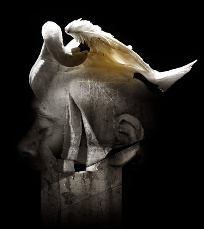Cigno da Johan Lilja