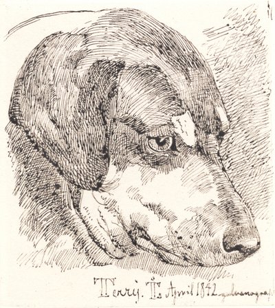 Danese: Testa di cane, Terry da Johan Lundbye