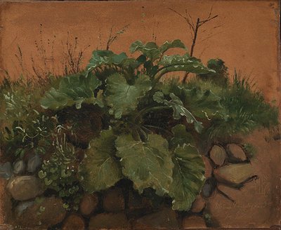 Una Bardana e Altre Piante su un Muro di Pietra da Johan Thomas Lundbye