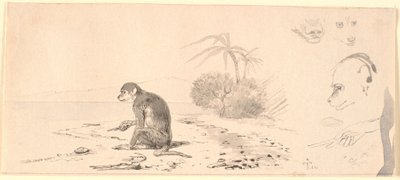 Abekatten. T.h. studier af abeho-veder m.m. da Johan Thomas Lundbye
