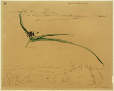 Veduta di Kalundborg e studio di un fiore a tre alberi da Johan Thomas Lundbye