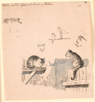 I due gatti. Studi di teste di gatto, un uccello, un orecchio di gatto e travi. Illustrazione per "Favole per bambini" di Kaalund. Vedi commento dal catalogo. da Johan Thomas Lundbye