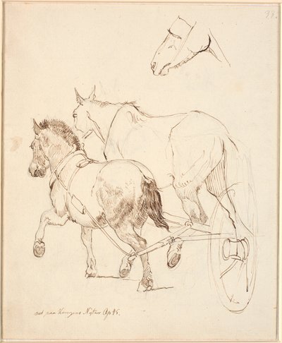Un montone del nord e un cavallo comune attaccati allo stesso carro. F.o. Hestehoved da Johan Thomas Lundbye