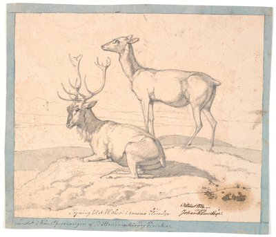 Un Cervo Sdraiato e una Cerva in Piedi da Johan Thomas Lundbye